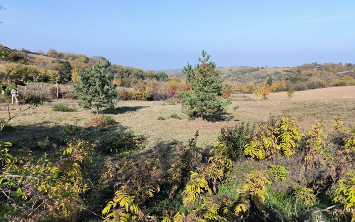 Odličan građevinski plac Banstol, Sremski Karlovci