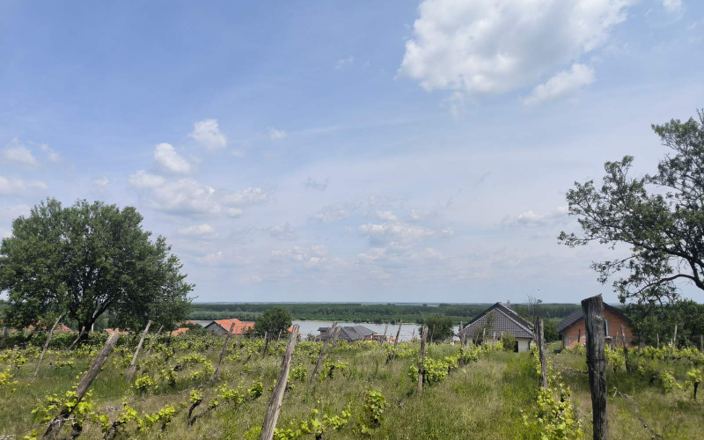 Sremski Karlovci - Gradjevinski plac sa pogledom na Dunav